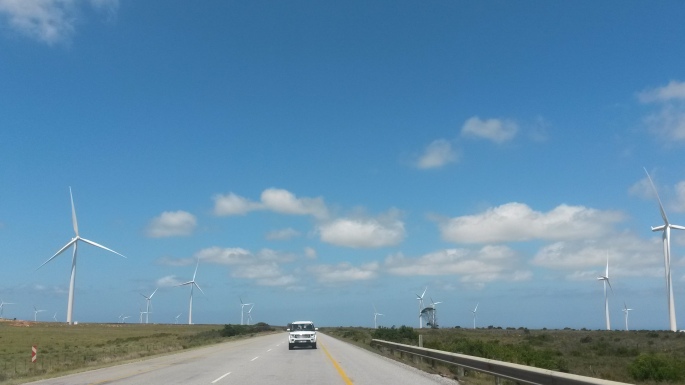 Wind turbines in South Africa (I hope this doesn't look like an ad for Land rover)